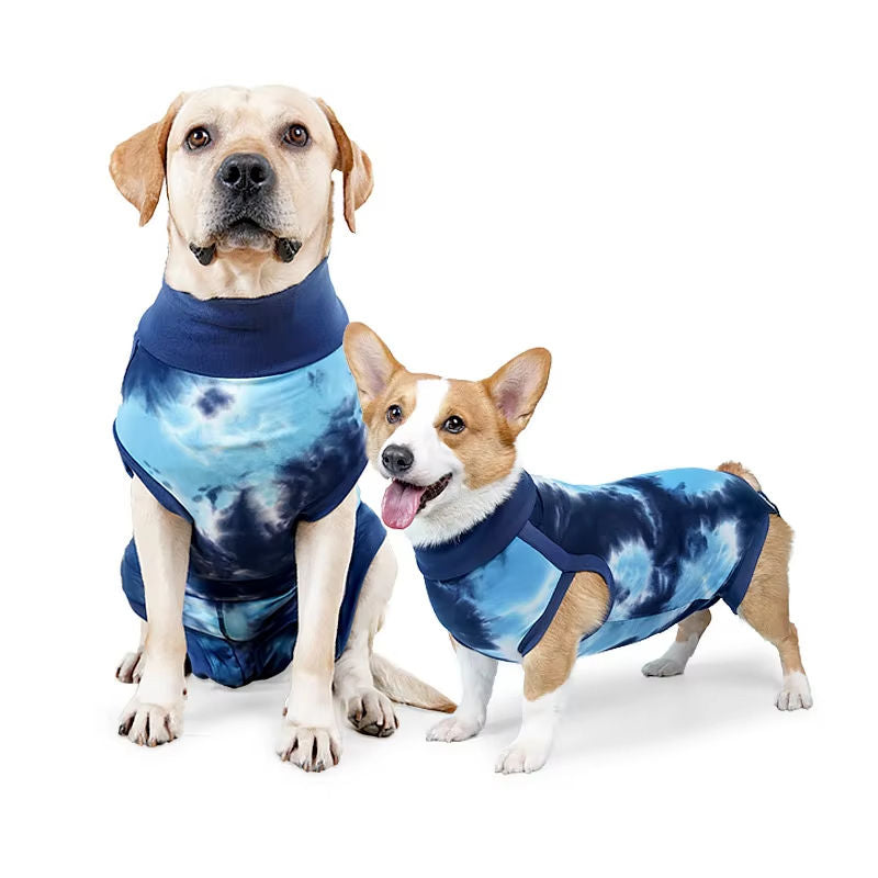 Two dogs wearing blue tie-dye surgical recovery suits on a white background