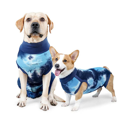 Two dogs wearing blue tie-dye surgical recovery suits on a white background