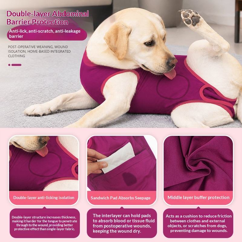 A yellow Labrador retriever wearing a rose red post operative surgical recovery suit , shown on a light gray floor with marketing text and three feature callout panels below.
