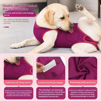 A yellow Labrador retriever wearing a rose red post operative surgical recovery suit , shown on a light gray floor with marketing text and three feature callout panels below.