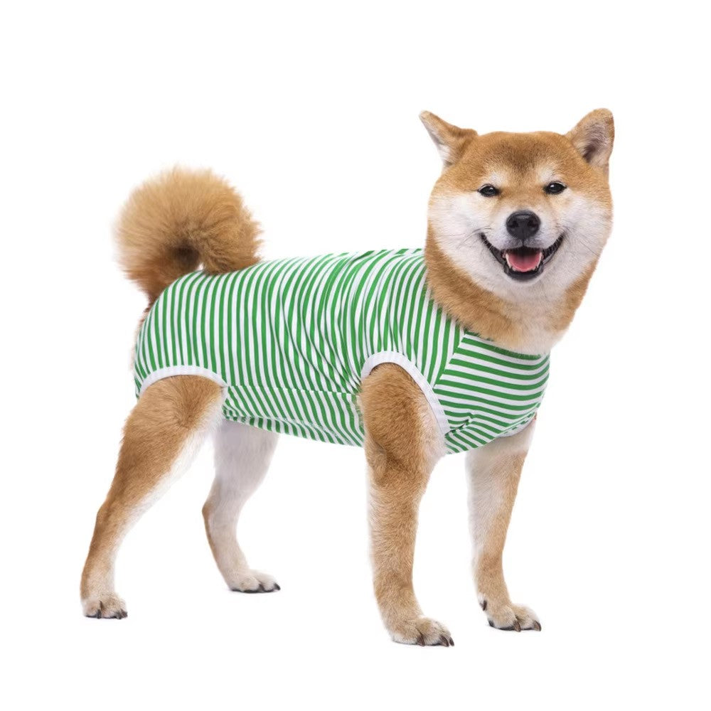Dog wearing a green and white striped recovery suit on a white background