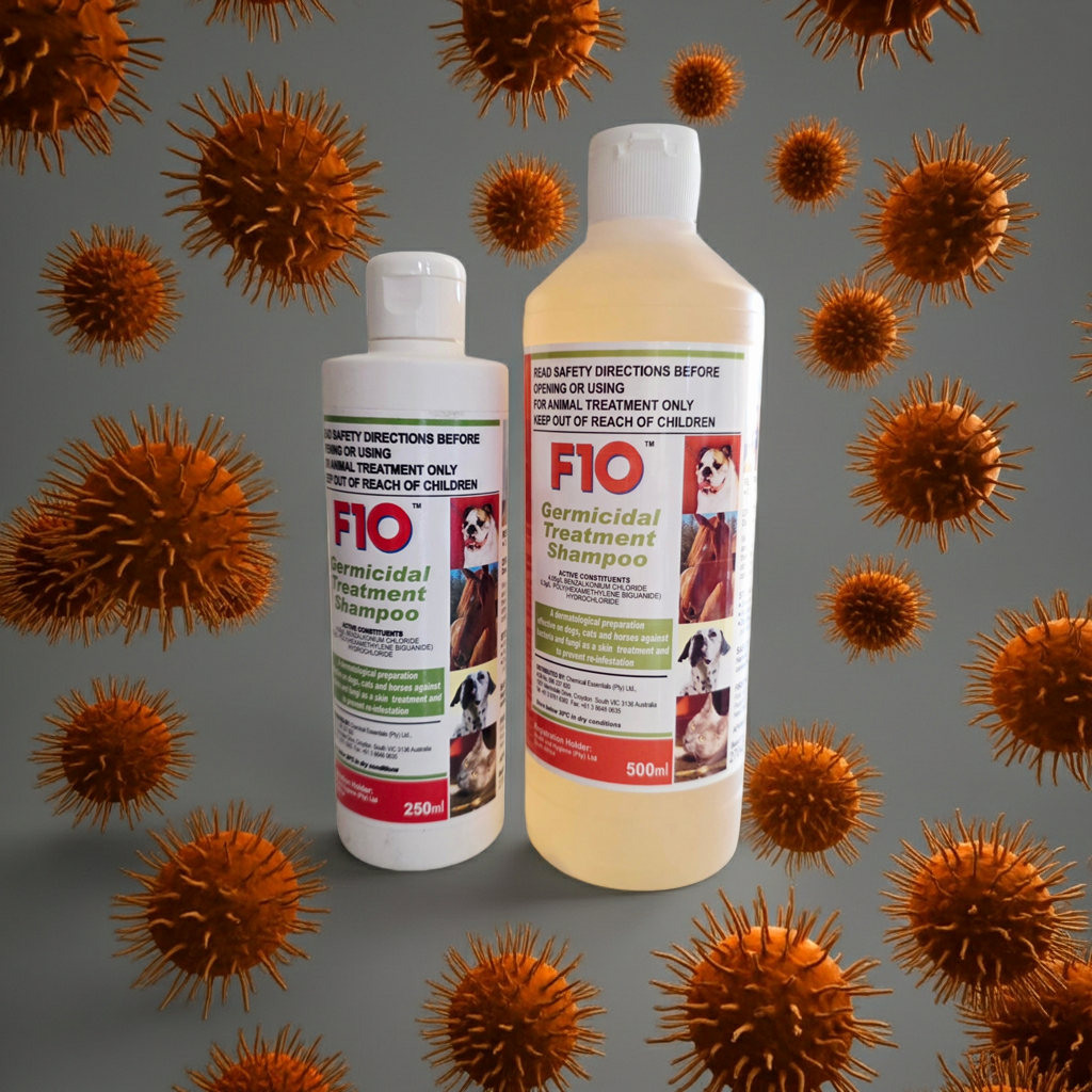 Two bottles of FIO germicidal treatment shampoo with virus-like particles on a gray background