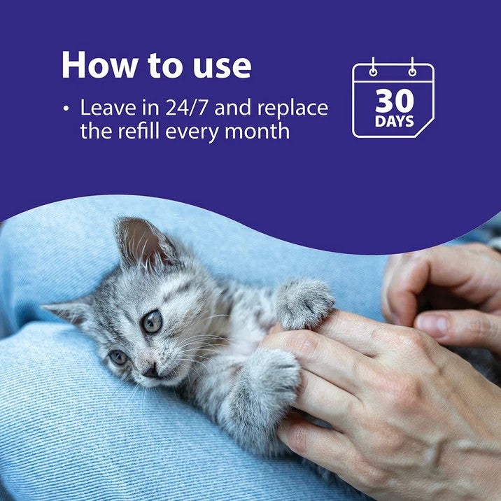 Feliway Kitten being held by a person with text on how to use a product, set against a blue background.