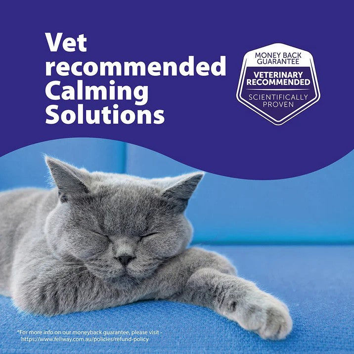 Feliway Cat lying down on a blue surface with 'Vet recommended Calming Solutions' text and logo.