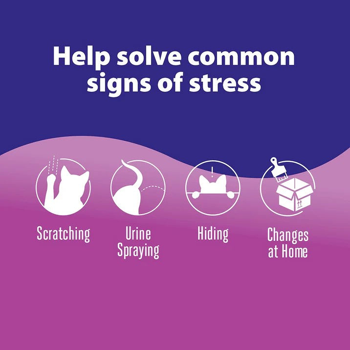 Diagram showing common signs of stress in cats with icons and text on a purple background