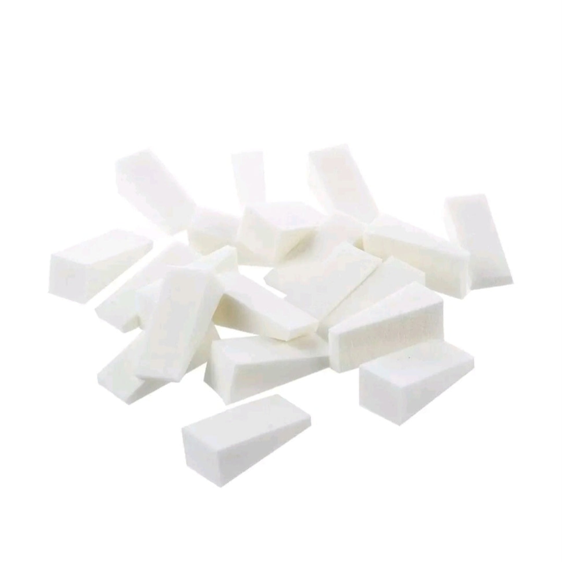 White puppy feeding sponges on a white backgroung