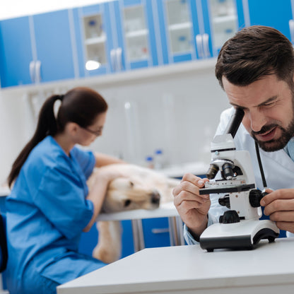 Person using a microscope in a laboratory setting with another person and a dog in the background.