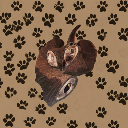 Goats horns on a beige background with black paw prints.