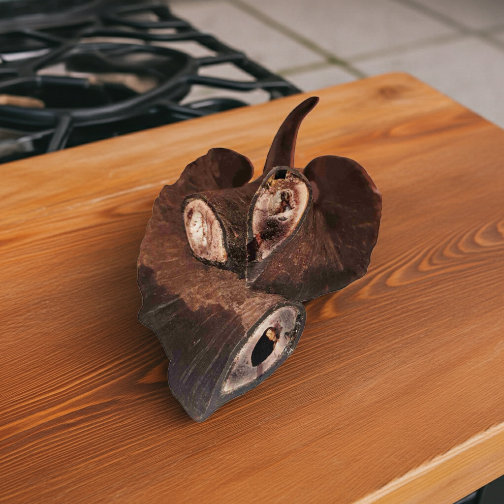 Goats horns on a wooden bench