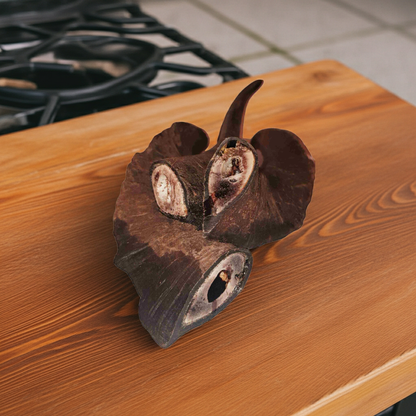 Goats horns on a wooden bench