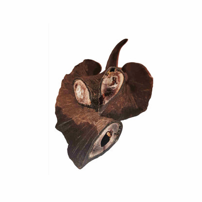 Three Goat Horn Dog Chews on a white background