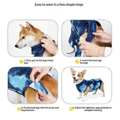 Instructional graphic showing how to wear a blue dog surgical recovery suit in four steps, with photos of a Shiba Inu and a Corgi in each panel and text labels explaining fastening and adjustment.