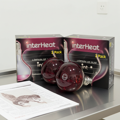 Two packs of interHeat lamp globes with packaging on stainless steel table