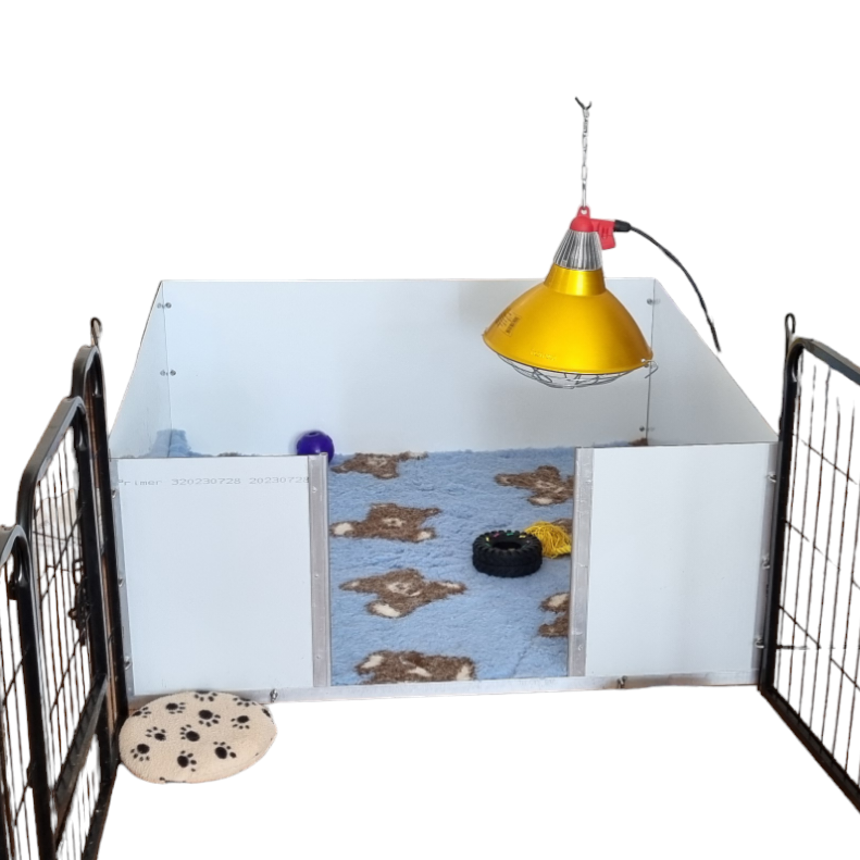Interheat Heat Lamp above a whelping Box on a white background