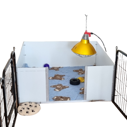 Interheat Heat Lamp above a whelping Box on a white background