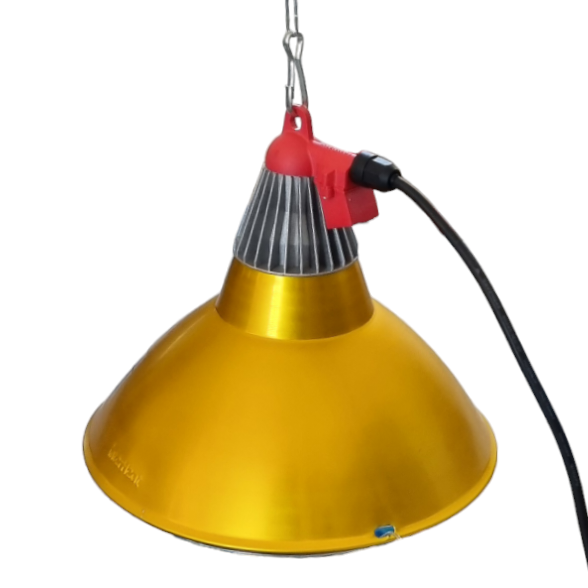 Heat Lamp for Infrared Globes