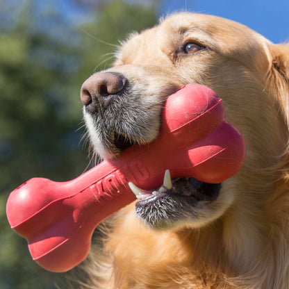 Dog holding a red KONG Goodie Bone Classic toy in its mouth outdoors