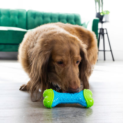 Dog playing with a blue and green KONG Core Strength Bone toy on a wooden floor.