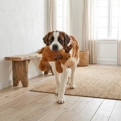 Dog holding a plush KONG Cozie Marvin Moose toy in a room with wooden floor and white walls