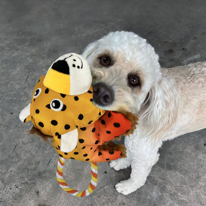 White dog playing with a colorful Kong Cozie Tuggz Cheetah