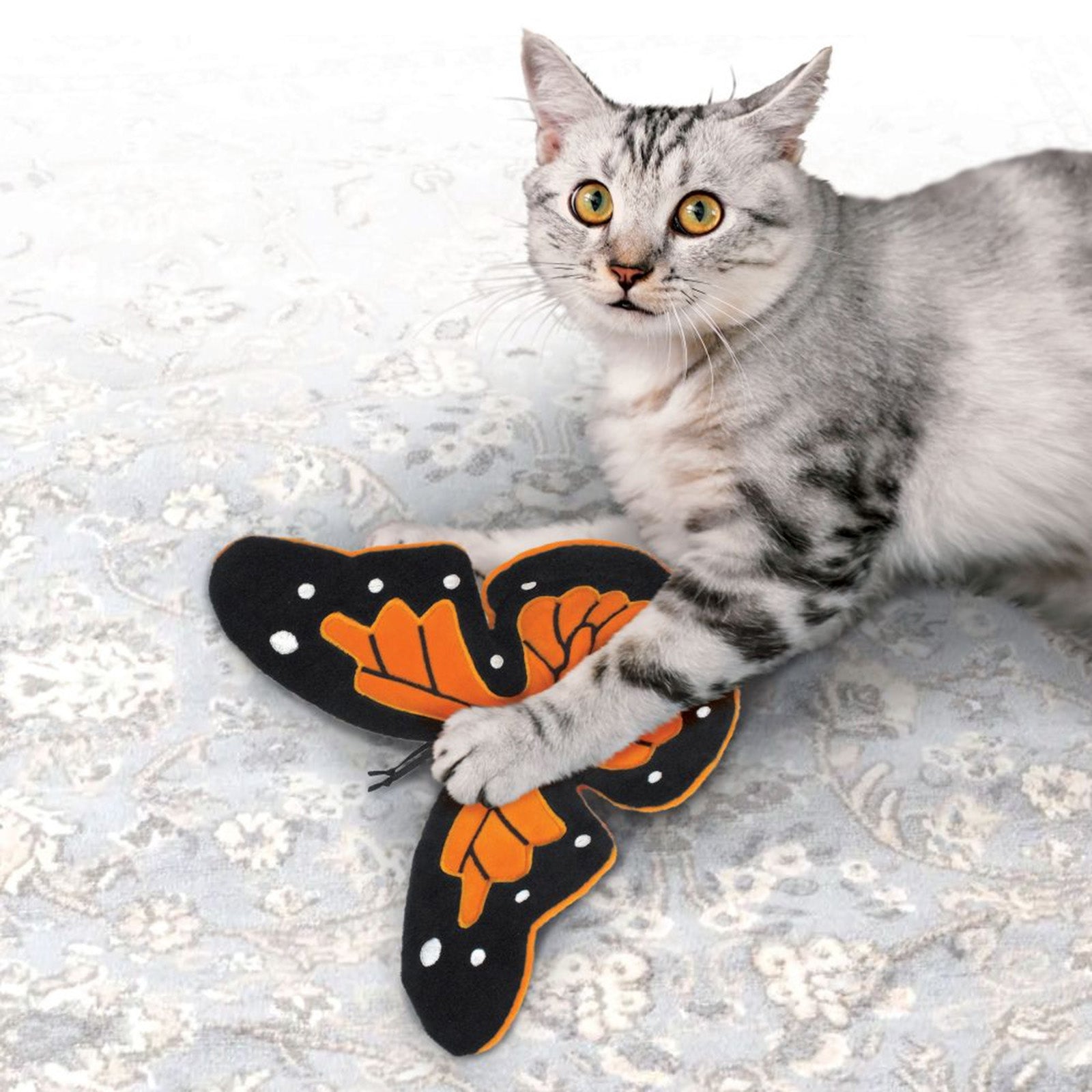 Cat playing with a KONG butterfly-shaped toy on a textured surface