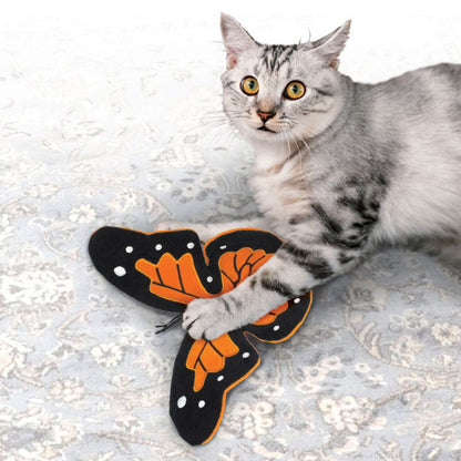 Cat playing with a KONG butterfly-shaped toy on a textured surface