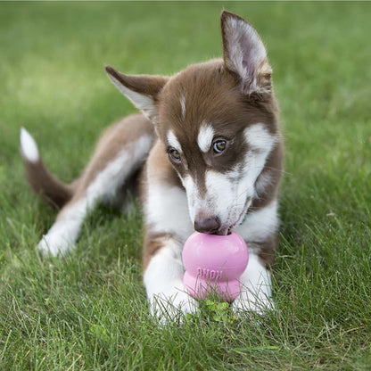 Puppy playing with a pink KONG toy in the grass
