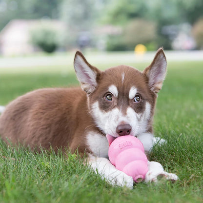 Puppy chewing a pink KONG on green grass