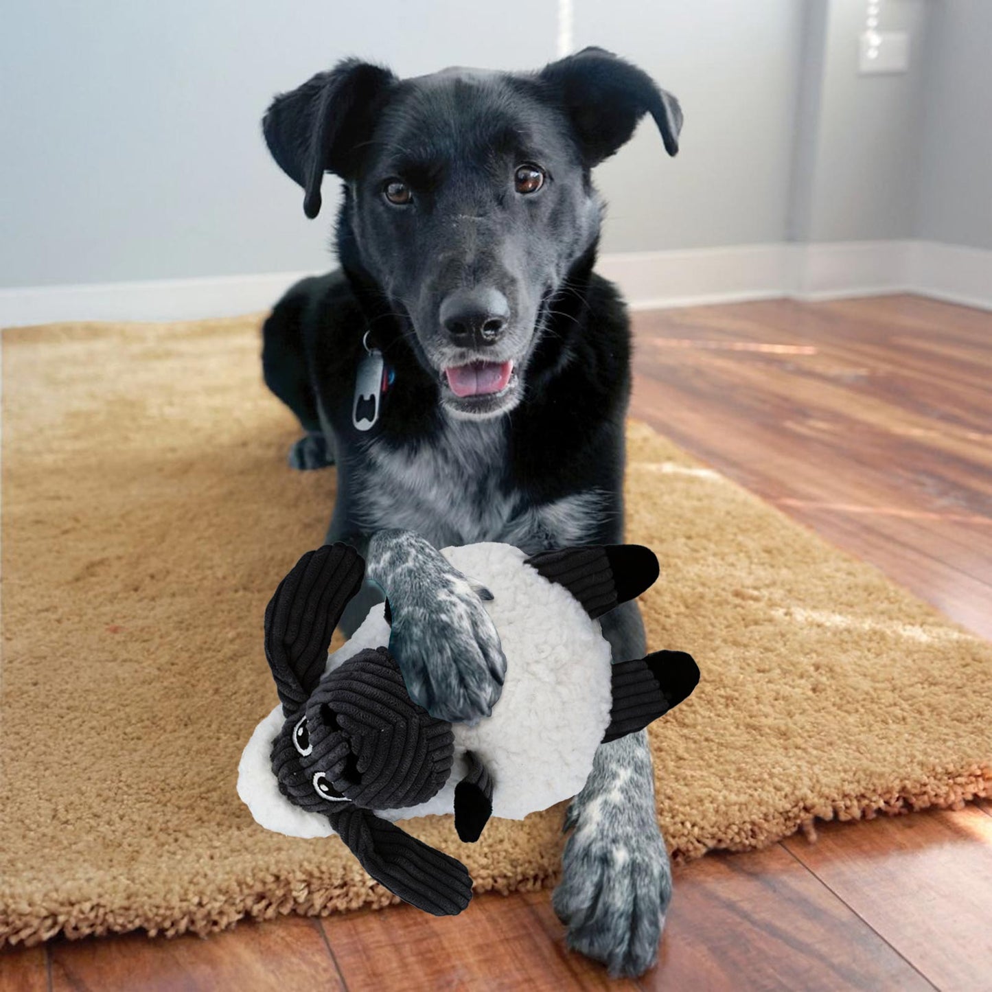 Dog holding a Plush KONG Sherps Floofs sheep toy on a wooden floor
