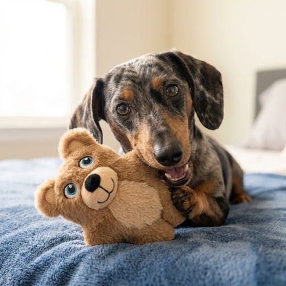 Dog holding a KONG Snuzzles Kiddos teddy bear on a blue blanket