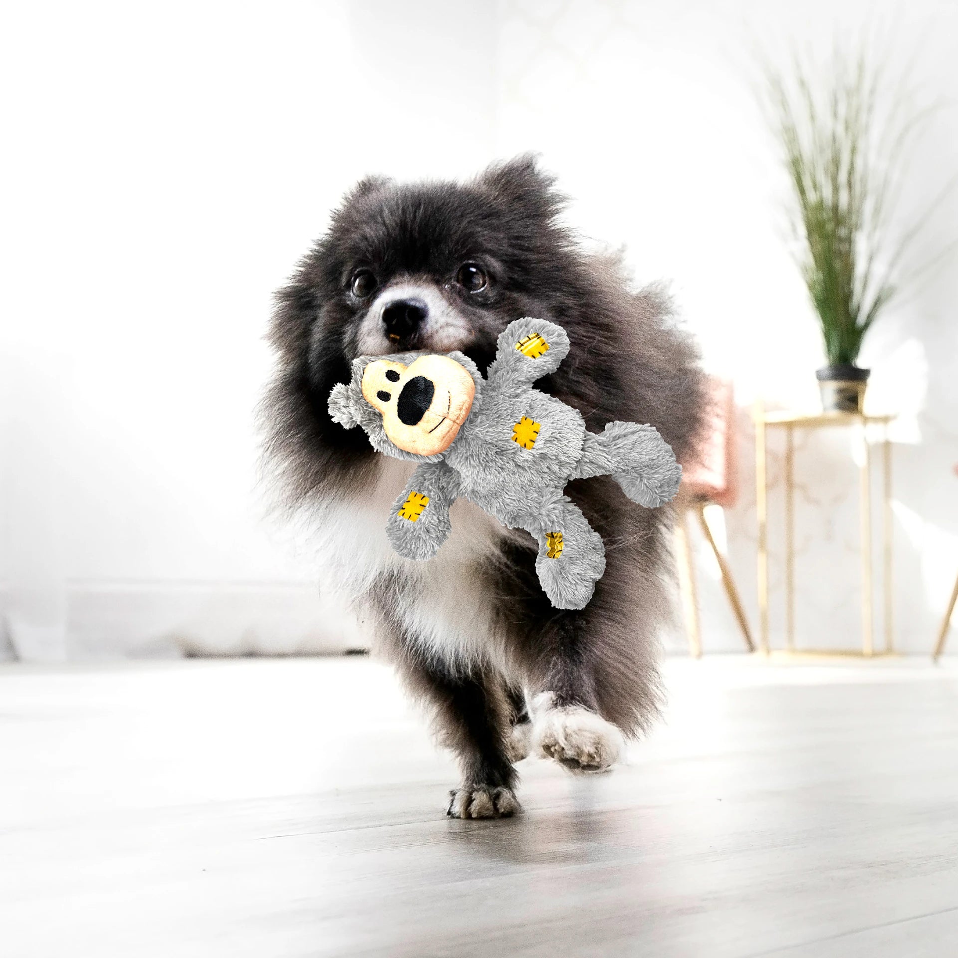 Dog holding a gray KONG Wild Knots bear toy indoors