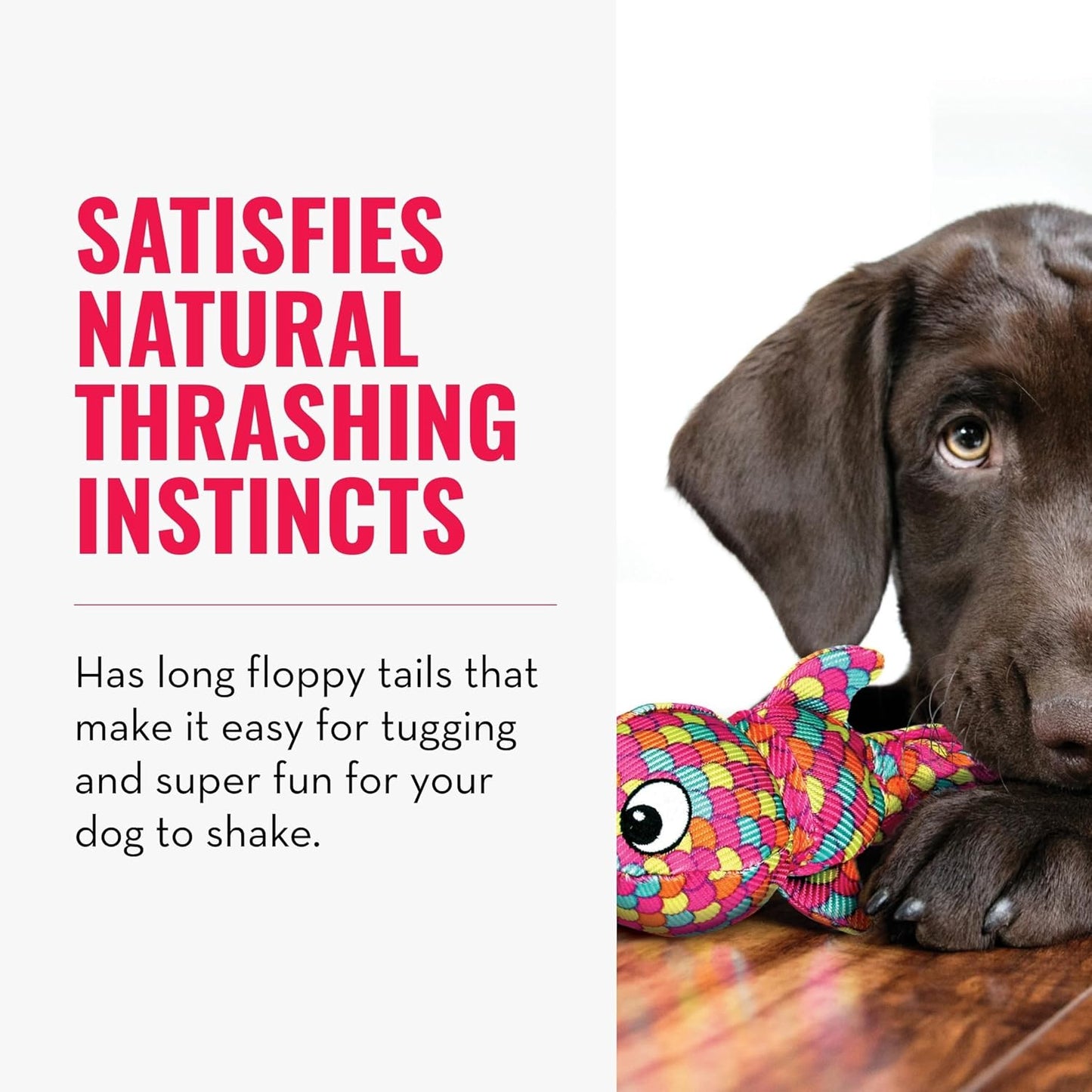 Dog playing with a colorful toy, text about satisfying natural thrashing instincts.
