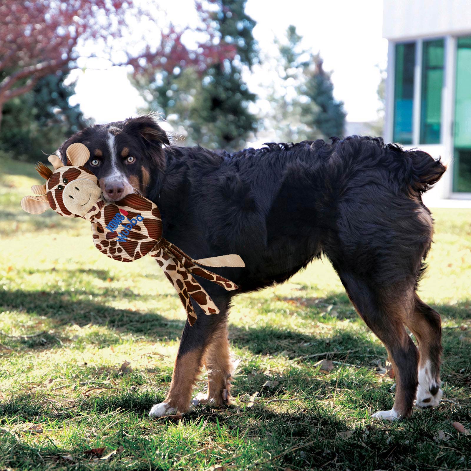 KONG Wubba No Stuff Giraffe in a dogs mouth