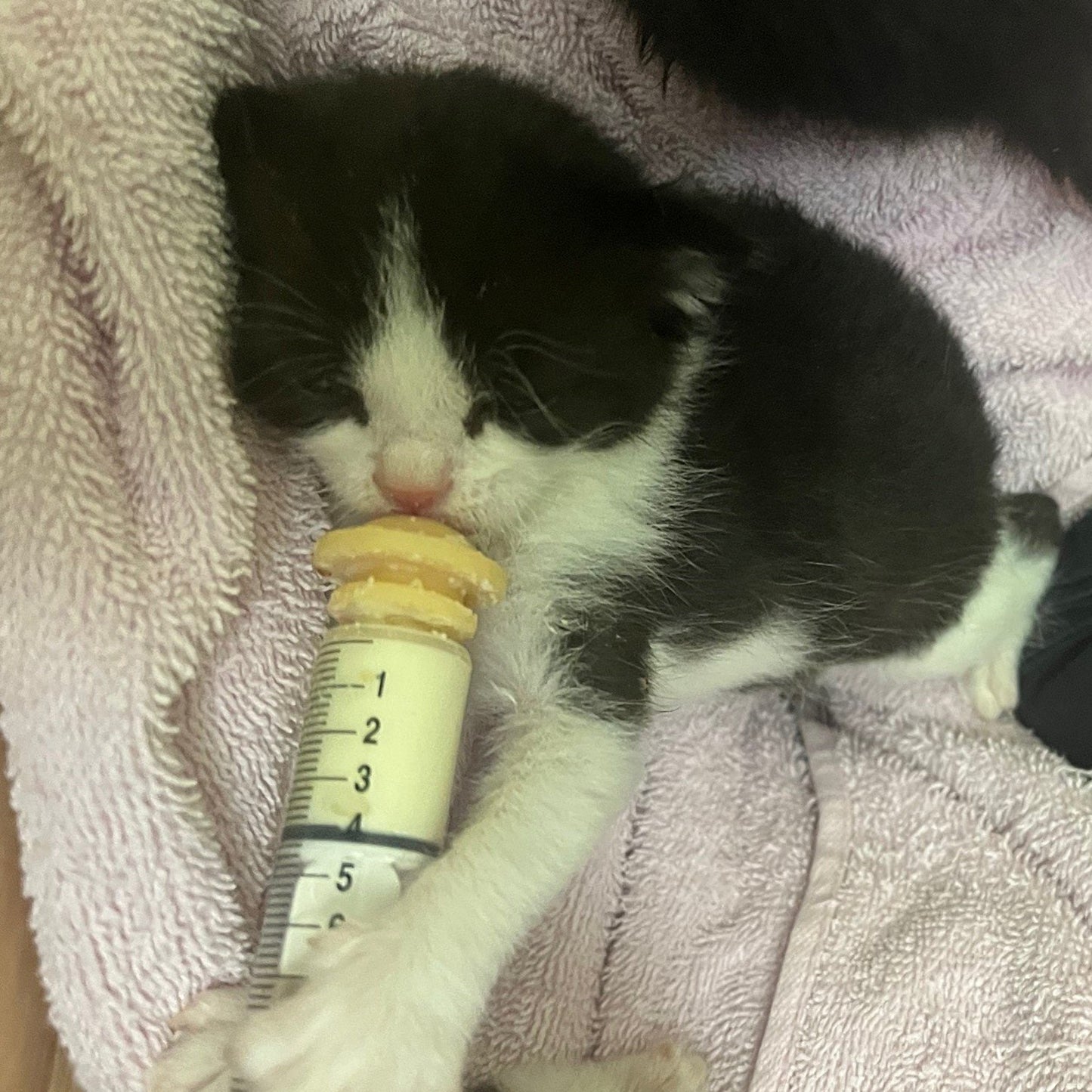 Miracle Nipple - The Next Best Thing To Mom!