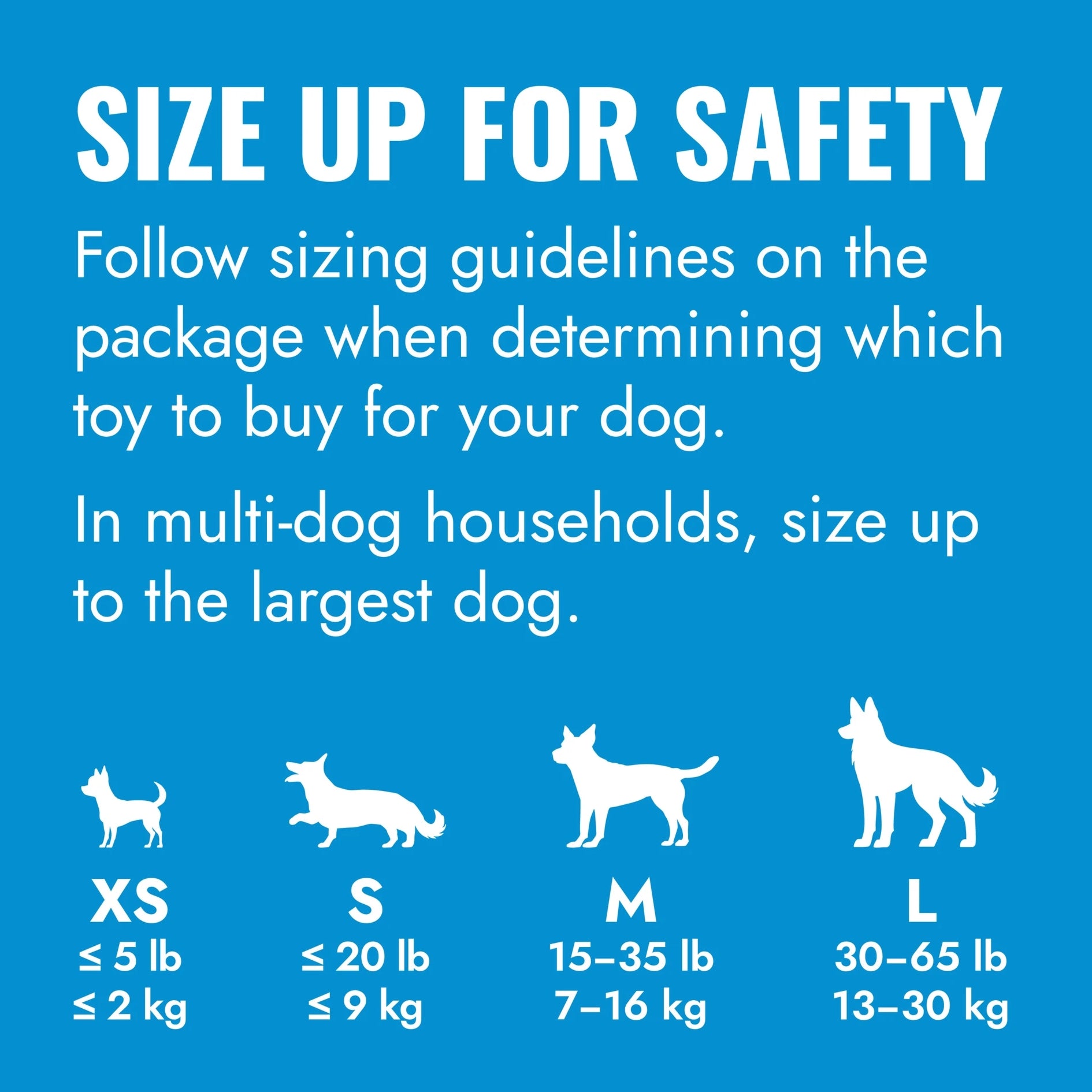 KONG Puppy Size Guide on blue background