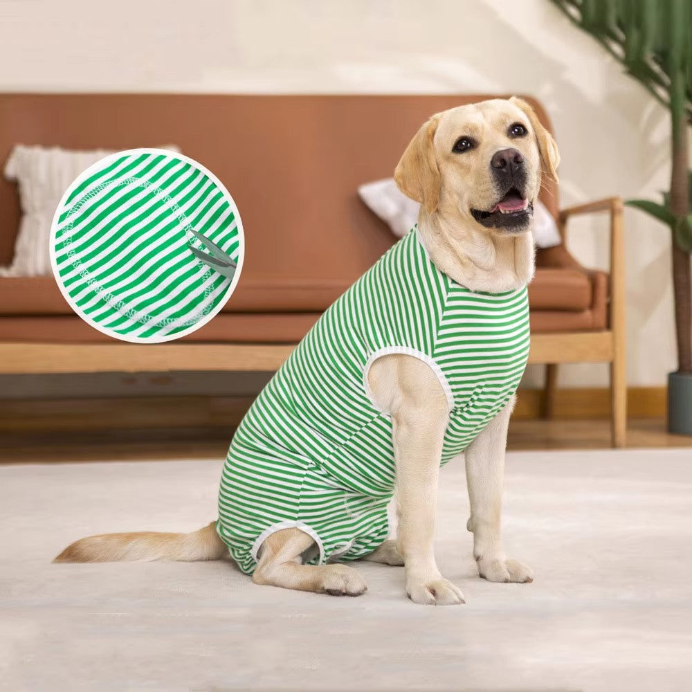 Dog wearing a green and white striped recovery suit sitting on a carpeted floor.