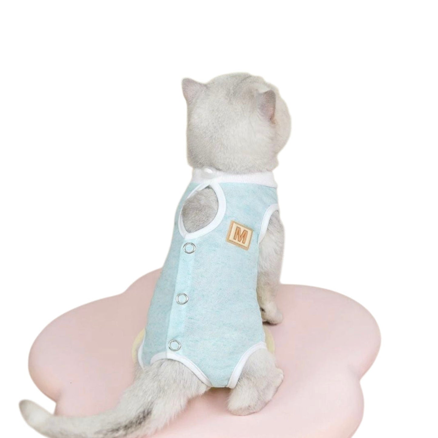 Cat wearing a light blue recovery suit with a brand logo on a white background