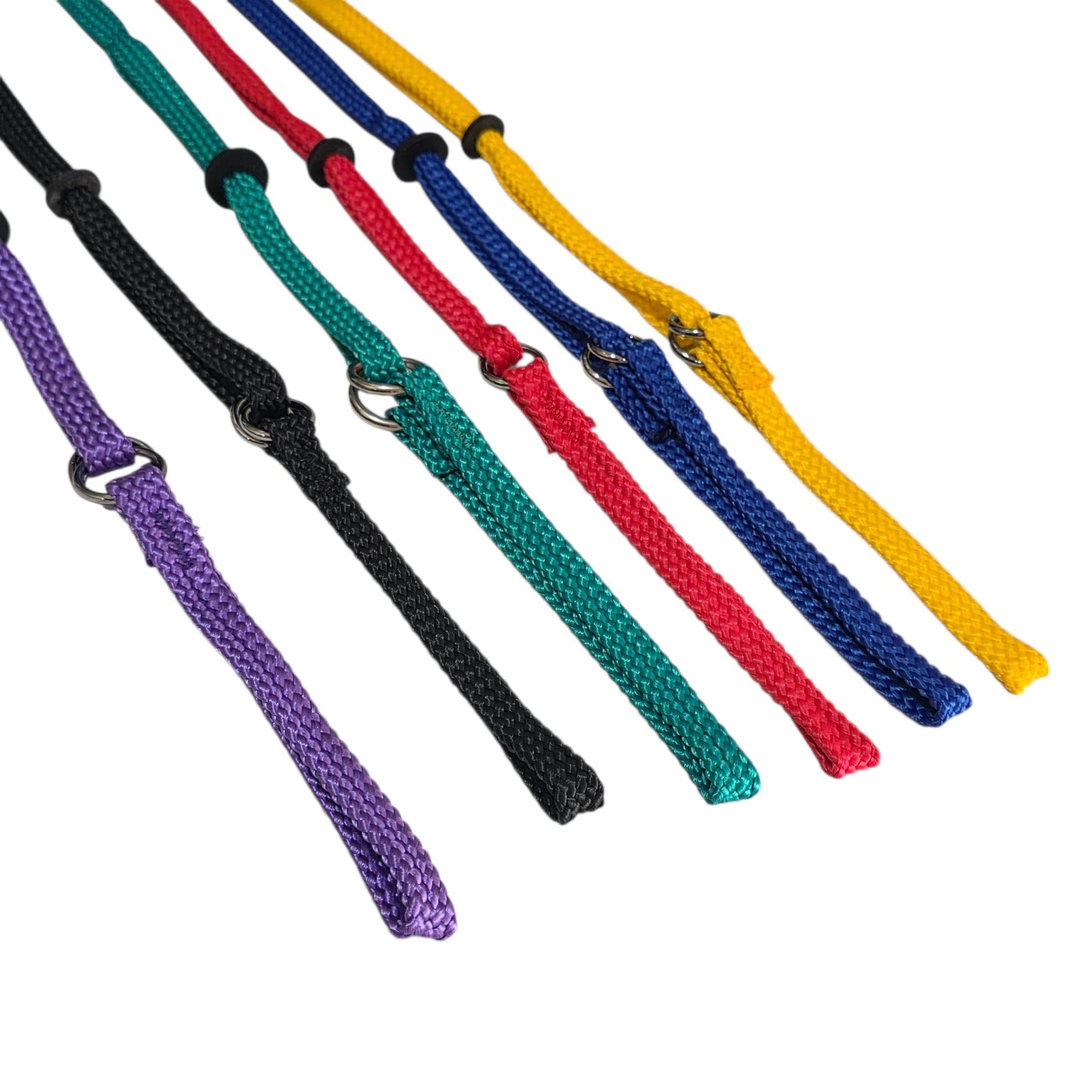 Set of Martingale Show Lead in a range of Colours on a white background