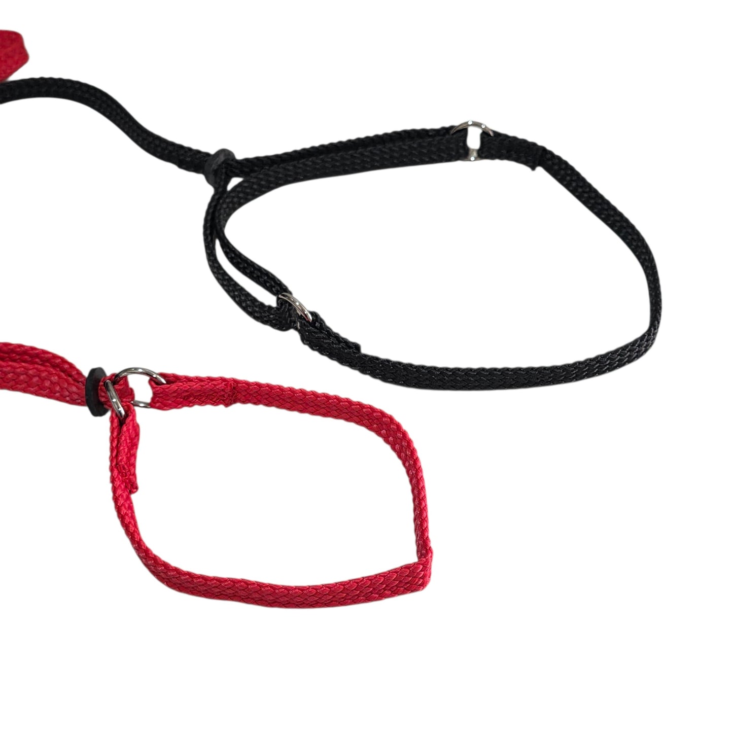 Black and red martingale show dog leashes on a white background
