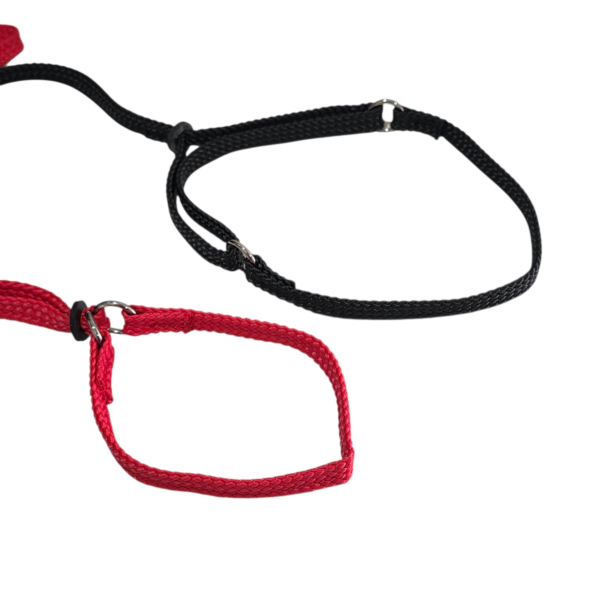 Black and red martingale show dog leashes on a white background
