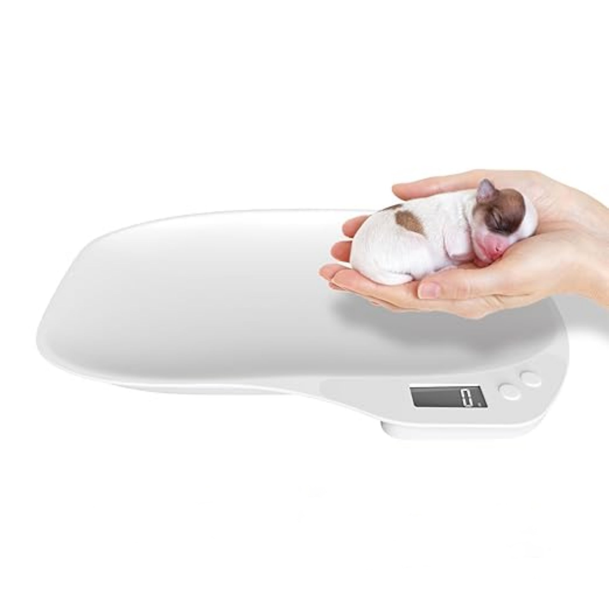Digital baby scale with a hand holding a newborn baby on a white background