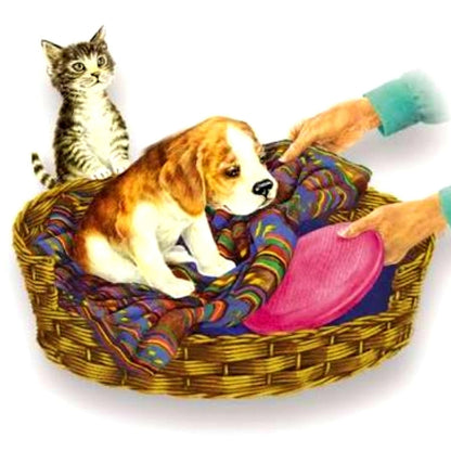 Microwave Heat Pad and a puppy and kitten in a bed on a white background