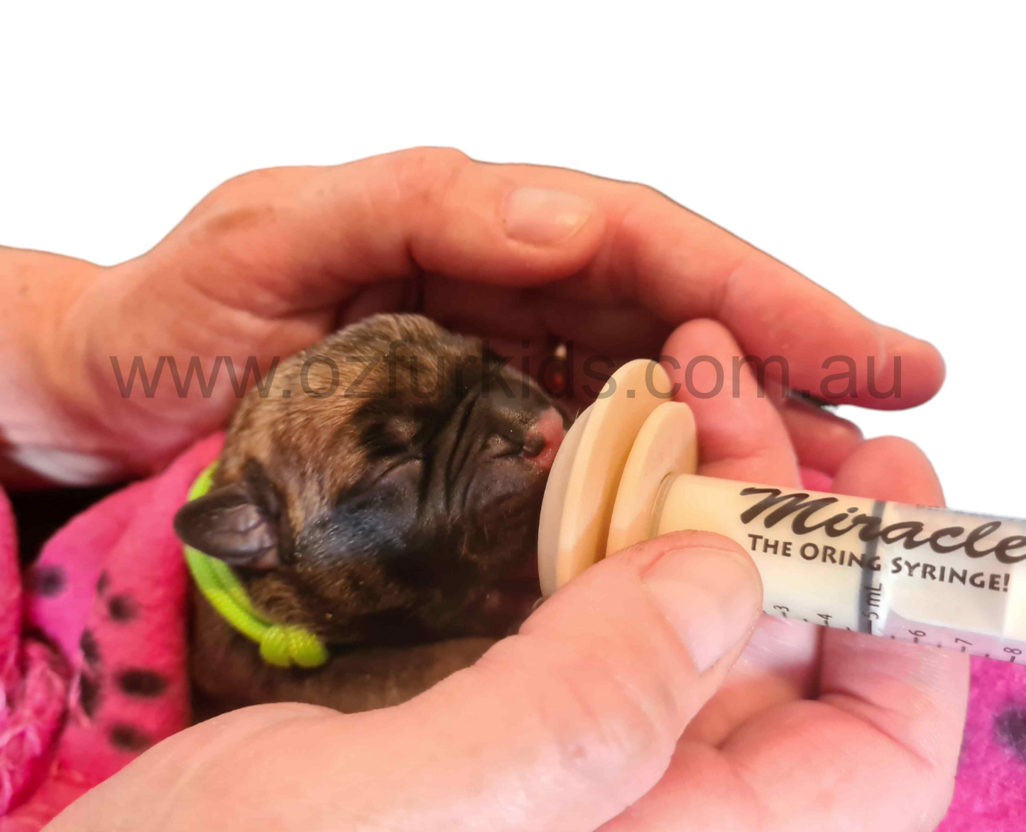 Miracle Nipple - The Next Best Thing To Mom!