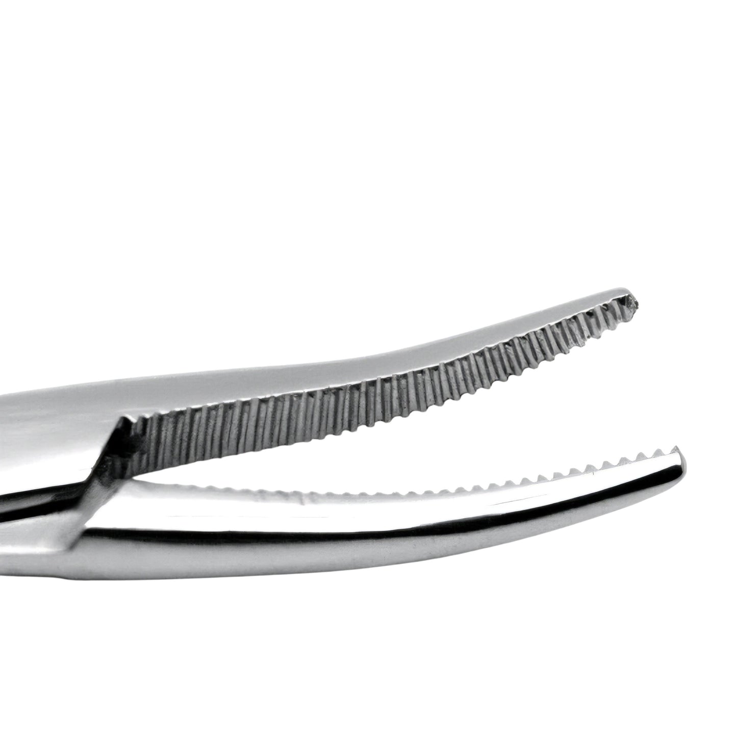 Mosquito Forceps Curved tip close up on a white background