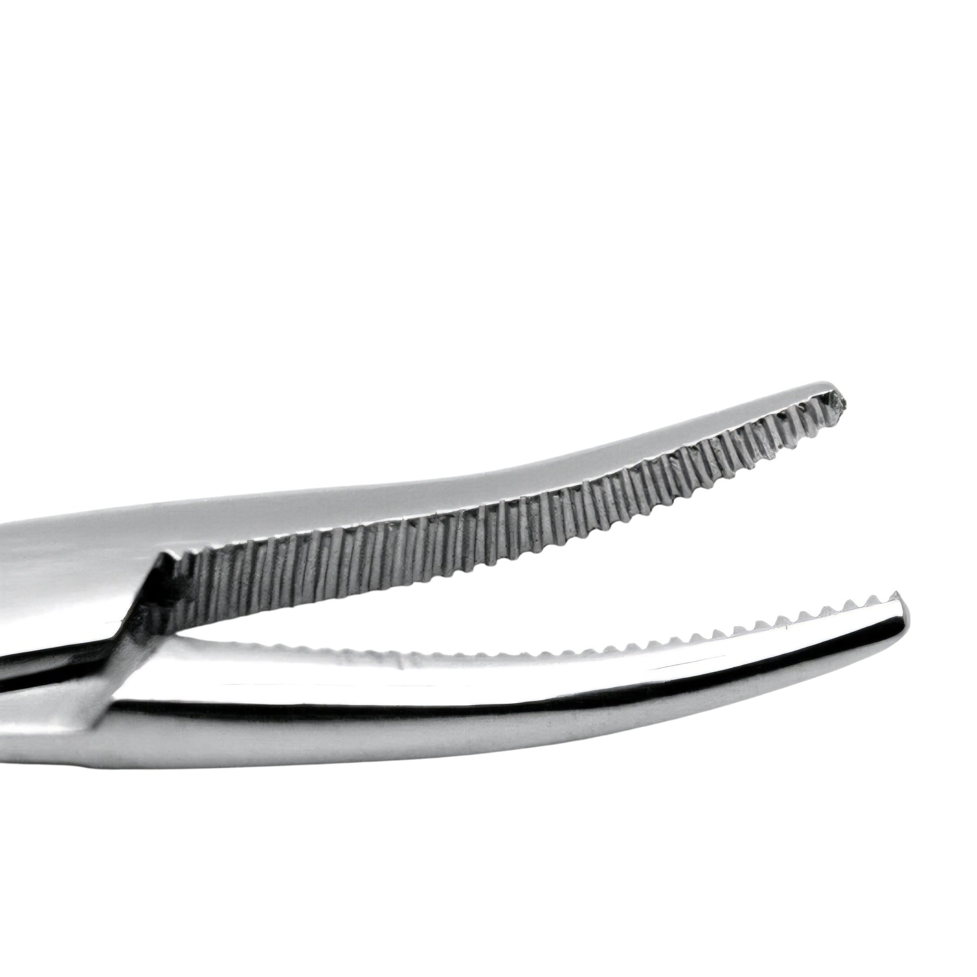 Mosquito Forceps Curved tip close up on a white background