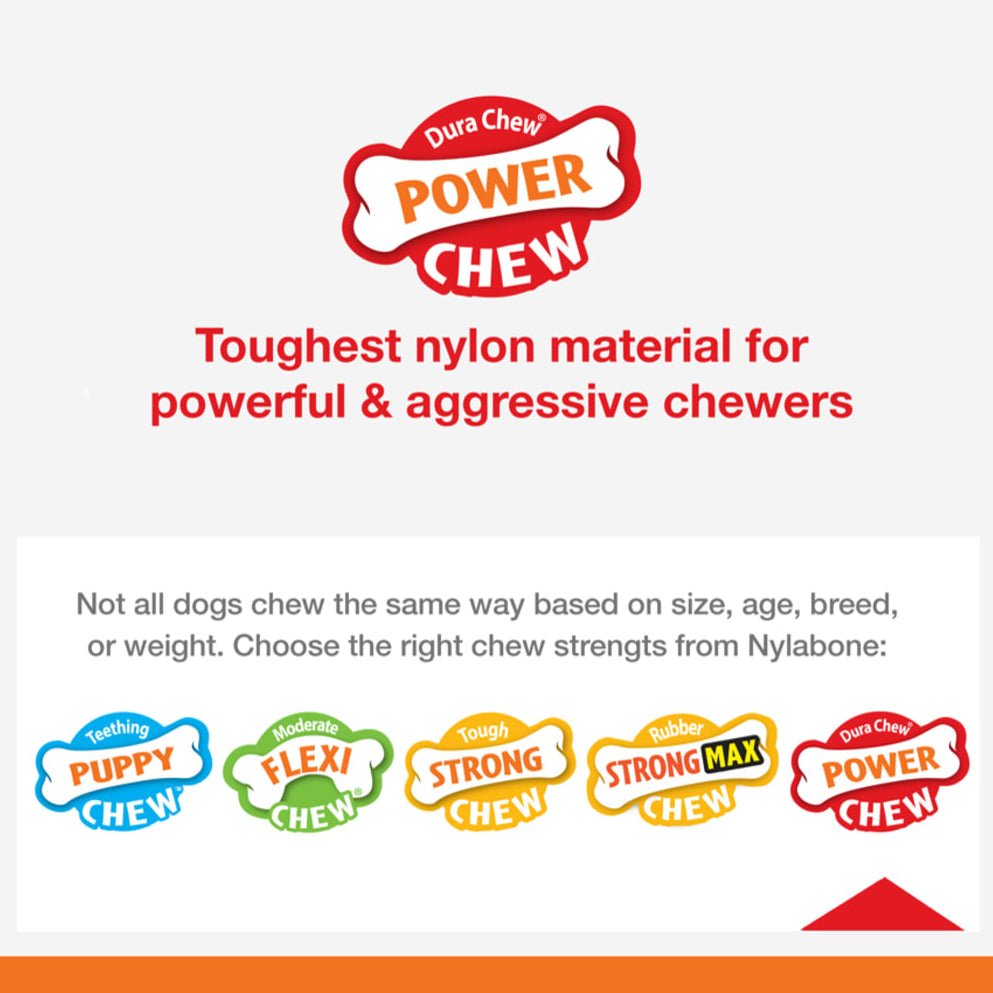 nylabone chew-strength-power on a white background