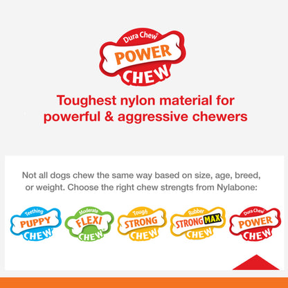 nylabone chew-strength-power on a white background