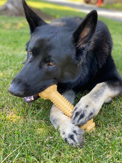 Nylabone Barbell Power Dura Chew Peanut Butter