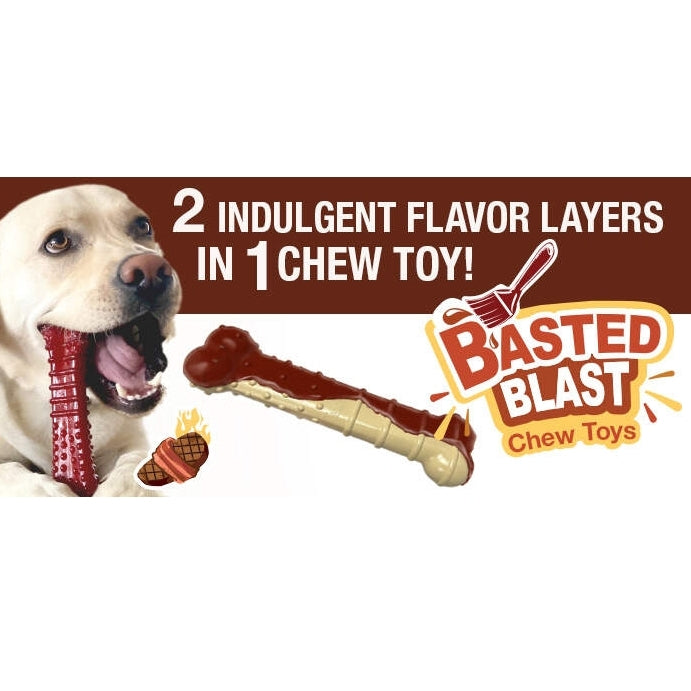 Dog chewing on a Nylabone treat with 'Basted Blast Chew Toys' branding and text about flavor layers.