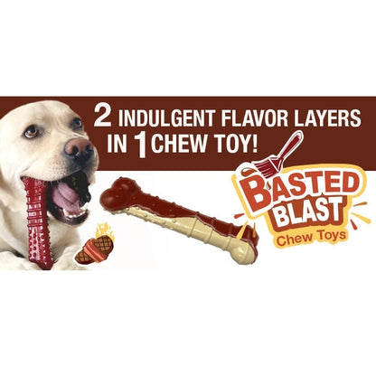 Dog chewing on a Nylabone treat with 'Basted Blast Chew Toys' branding and text about flavor layers.